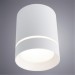 Накладной потолочный светильник Arte Lamp A1949PL-1WH ELLE светодиодный LED 9W