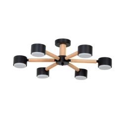 Потолочная люстра Arte Lamp TENDA A1624PL-6BK