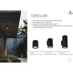Фасадный светильник LED 2700/3400/4000 1500Lm Arte Lamp TORCULAR A1307AL-2BK