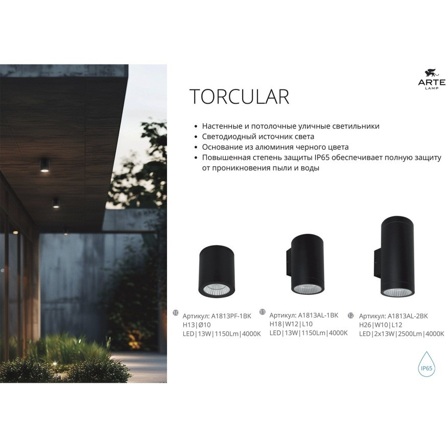 Уличный потолочный светильник LED 2700/3400/4000 650Lm Arte Lamp TORCULAR A1307PF-1BK