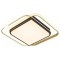 Потолочная люстра Arte Lamp ALBIREO A2658PL-58GO
