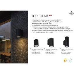Фасадный светильник LED 2700/3400/4000 1450Lm Arte Lamp TORCULAR A1313AL-1BK