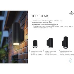 Фасадный светильник LED 2700/3400/4000 1450Lm Arte Lamp TORCULAR A1313AL-1BK