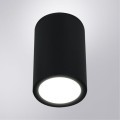Уличный потолочный светильник Arte Lamp TORCULAR A1807PF-1BK
