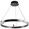 Подвесная черная светодиодная люстра-кольцо 60см 30Вт 840лм 3000К Arte Lamp CESARE A1993SP-30BK