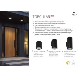 Уличный потолочный светильник LED 2700/3400/4000 1350 Lm Arte Lamp TORCULAR A1313PF-1BK