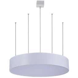 8021/66 SP-1 СВЕТИЛЬНИК ПОДВЕСНОЙ