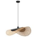 Подвесной светильник Arte Lamp WOODSTOCK A7063SP-1BK