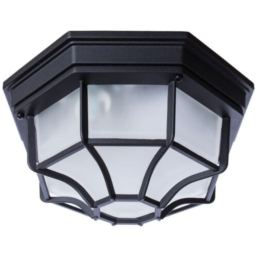 Уличный потолочный светильник Arte Lamp A3100PL-1BK PEGASUS IP44 под лампу 1xE27 60W