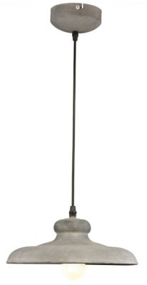 Подвесной светильник с 1 плафоном Arte Lamp A5025SP-1BG Loft под лампу 1xE27 40W