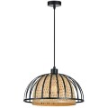 Подвесной светильник Arte Lamp WOODSTOCK A7071SP-1BK
