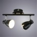 Спот настенный Arte Lamp A6008PL-2BK GIOVED светодиодный 2xLED 5W